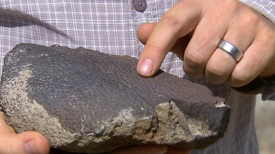 美国女人的收藏品,全美服装比赛上的佳丽,40张照片带你看全球