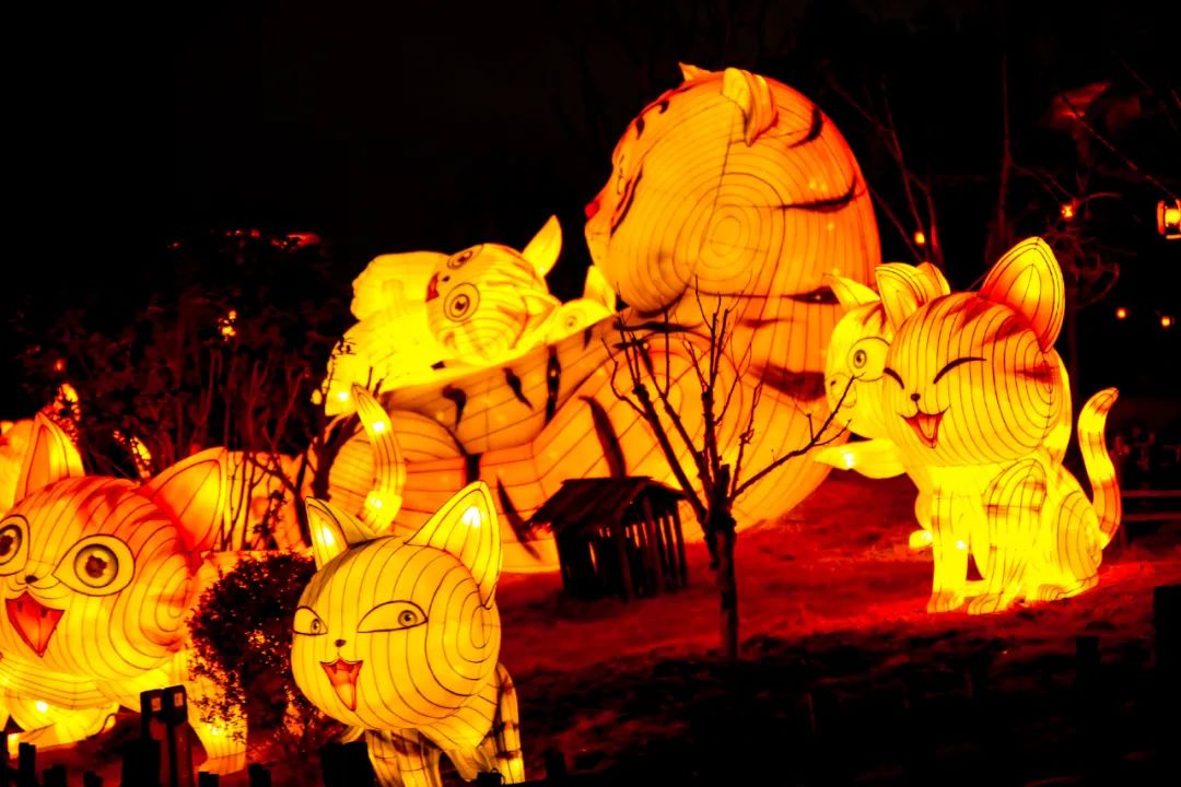 元宵节晚上郑州游玩攻略,郑州元宵节赏灯攻略