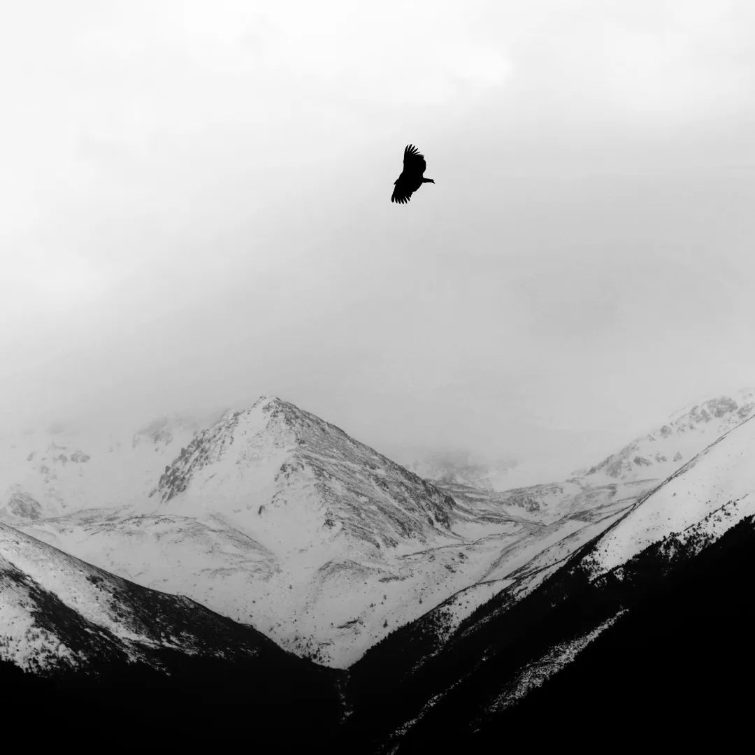 在川西Bushcraft是种什么体验？