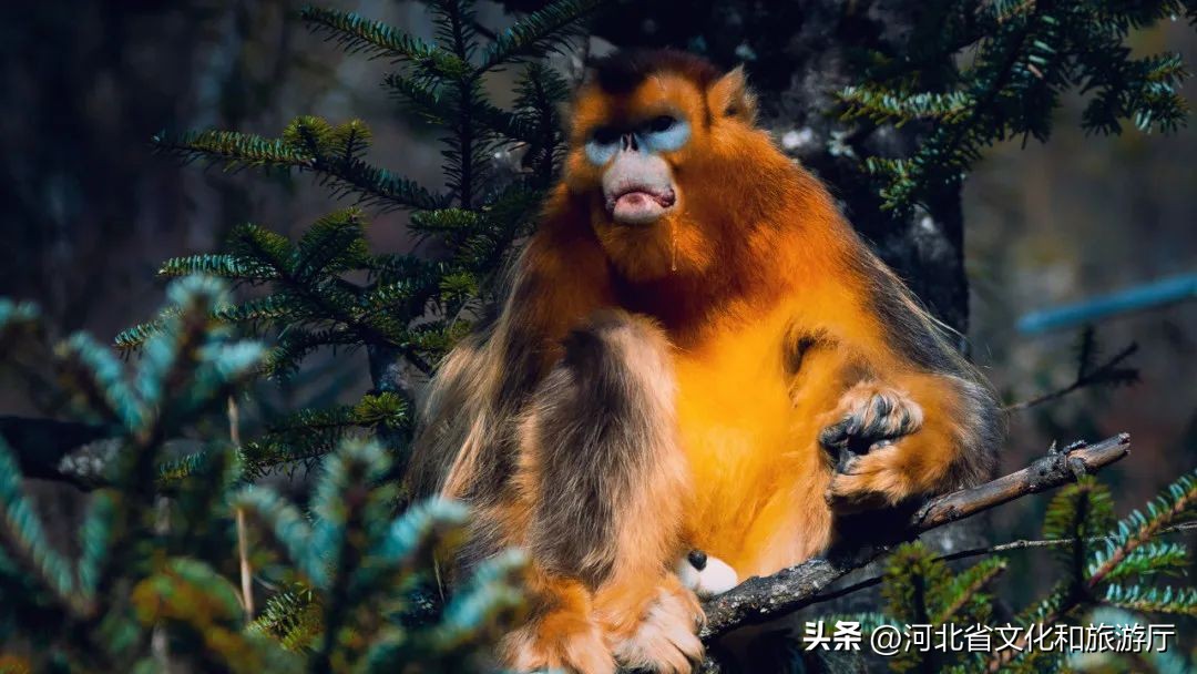 中国夏季避暑胜地排名前十,中国十大避暑胜地第一名你想不到