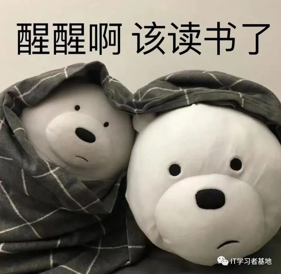 高职单招落榜怎么办辽宁,高职单招几合格可以上大学