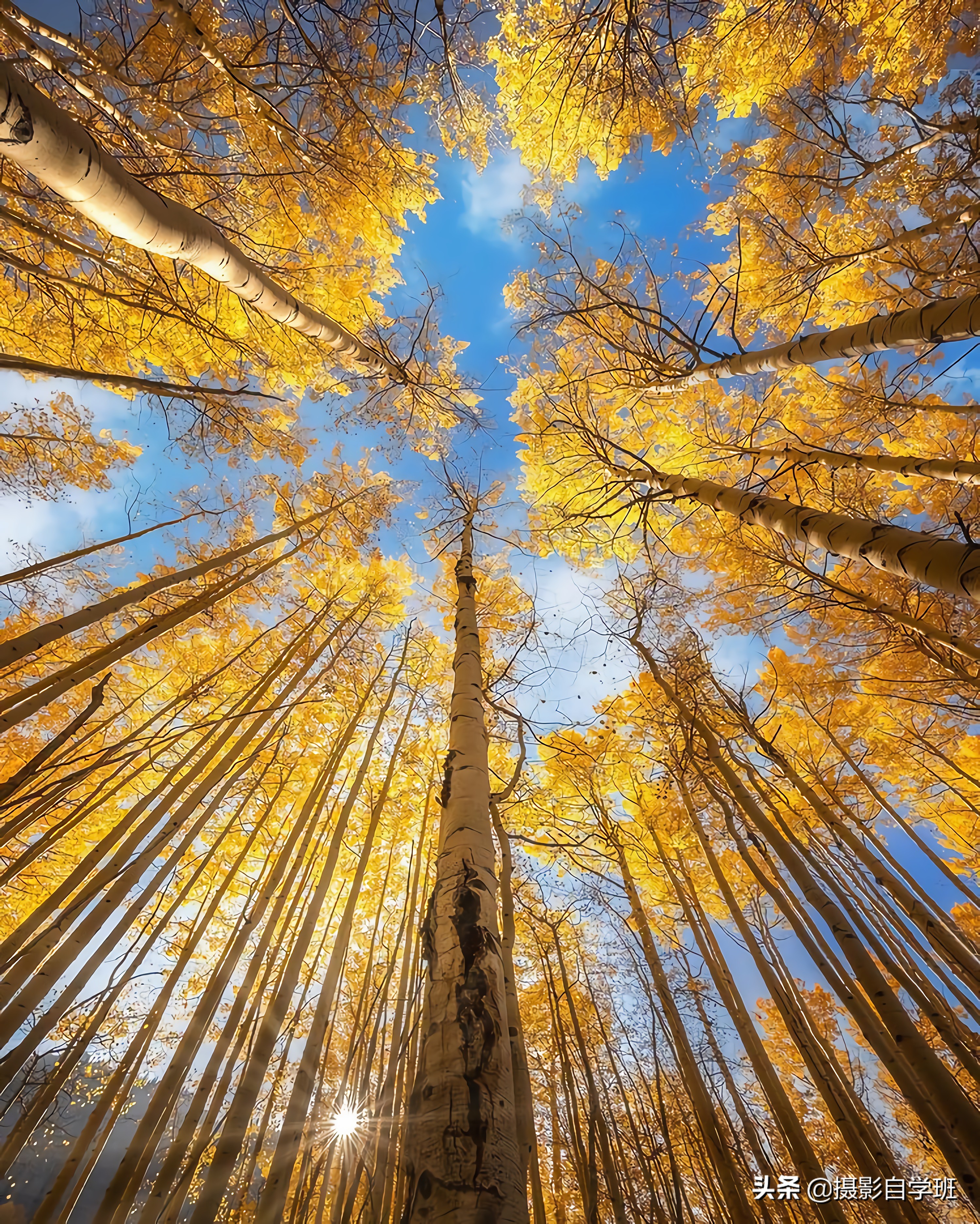 拍美景技巧视频,拍风景的9个摄影技巧