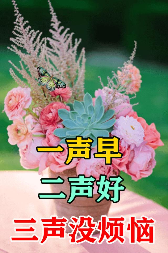 早安经典语录图文,新的一周早安正能量句子图文