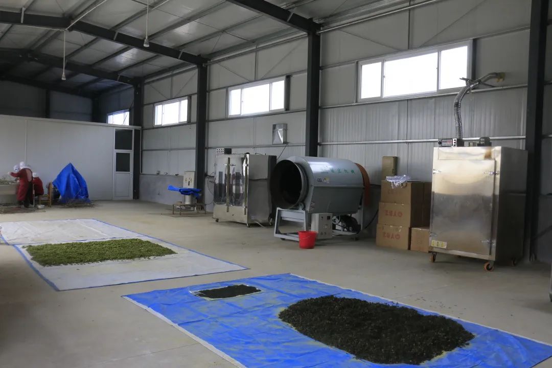 小产业带动乡村振兴大步伐,产业扶贫助力乡村振兴