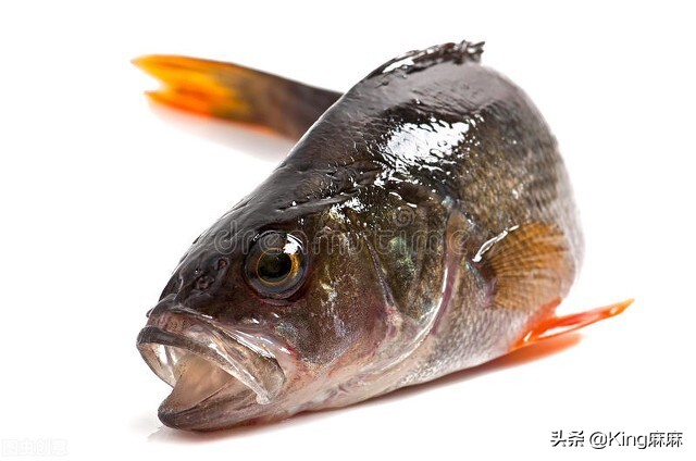 买鲈鱼买开背还是整条好,怎么挑选鲈鱼最好