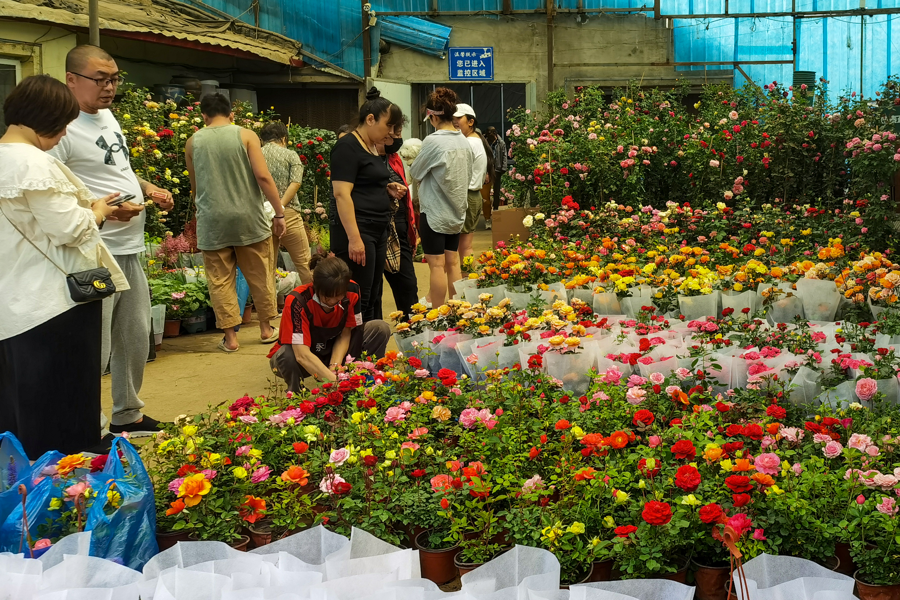 沈阳南井花卉市场,沈阳市南井花卉市场地址