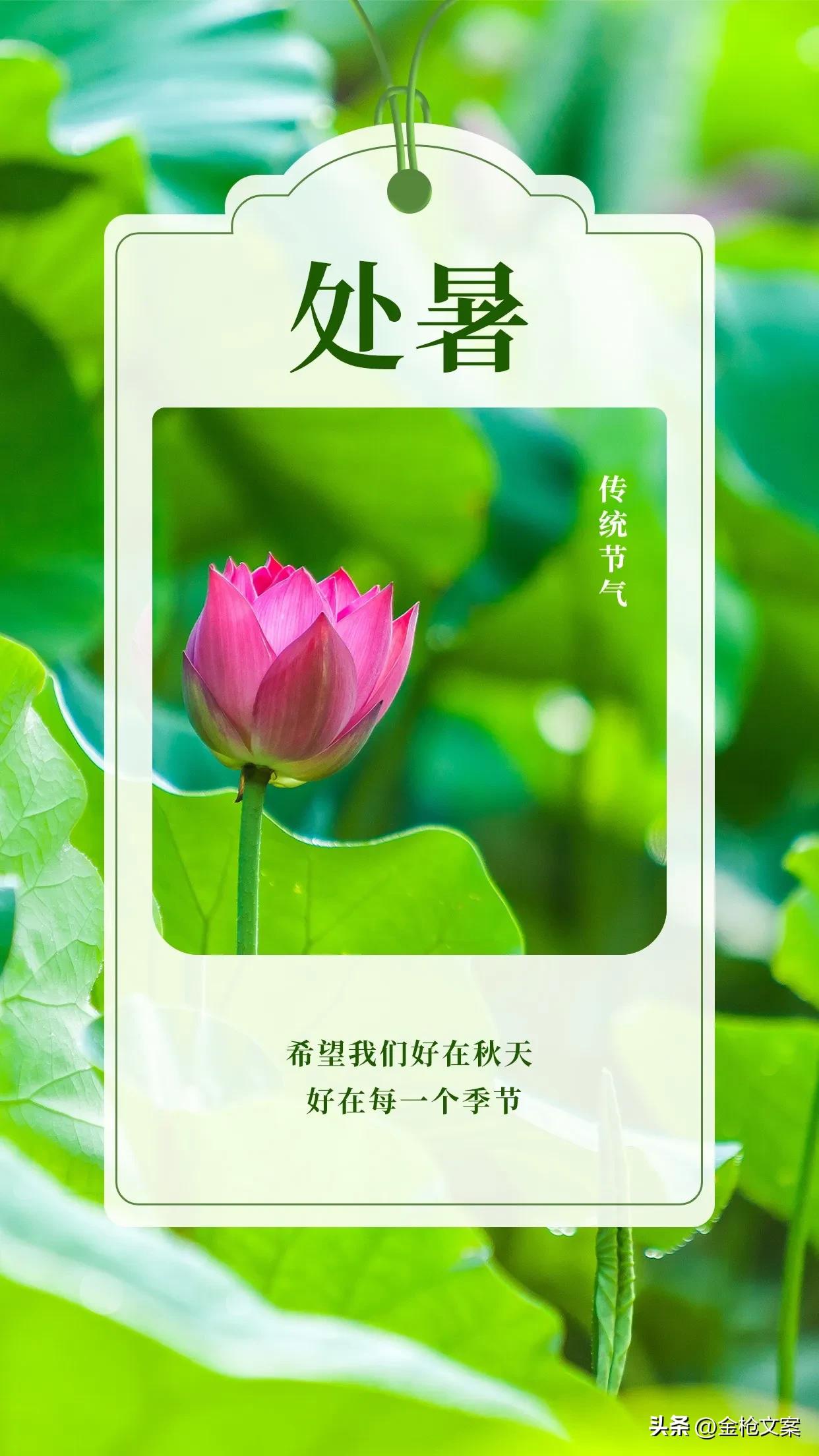 二十四节气处暑朋友圈,二十四节气处暑日记