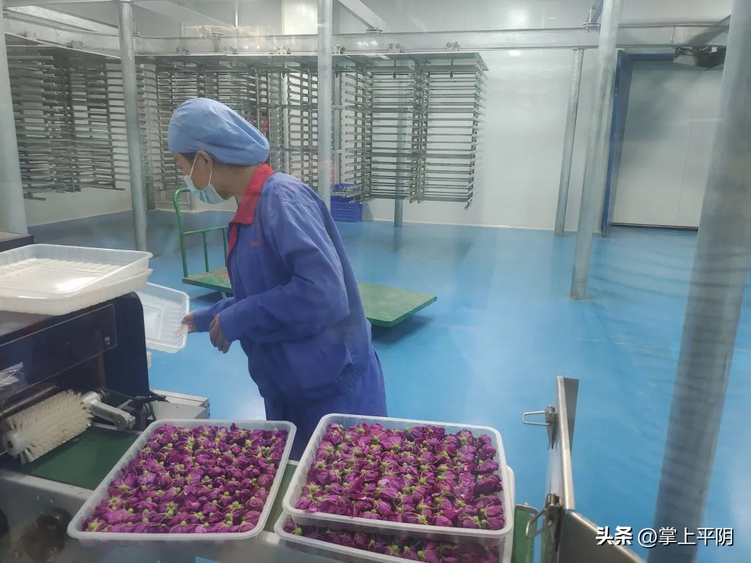 山东商报济南记者站,山东商报创刊