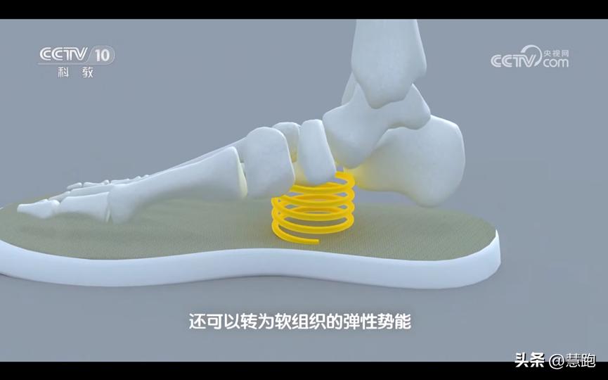 运动生理学测试实验报告,运动生物力学实验室纪录片