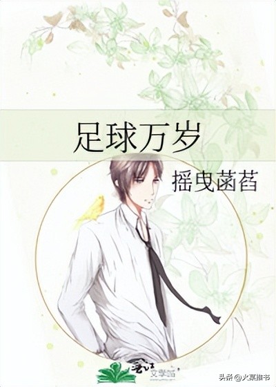 足球高质量文推荐,足球竞技文推荐