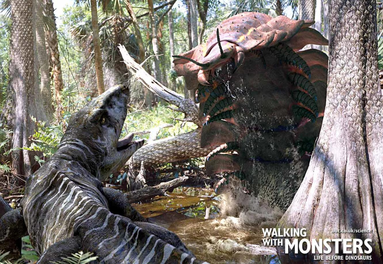 世界上已知的最大体型蜈蚣,世界上体型最长最大的蜈蚣