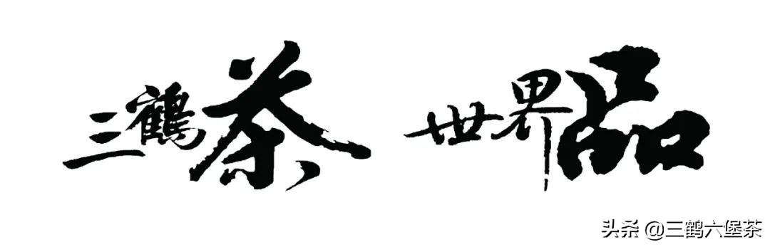 收藏茶叶的学问,收藏茶叶黑茶