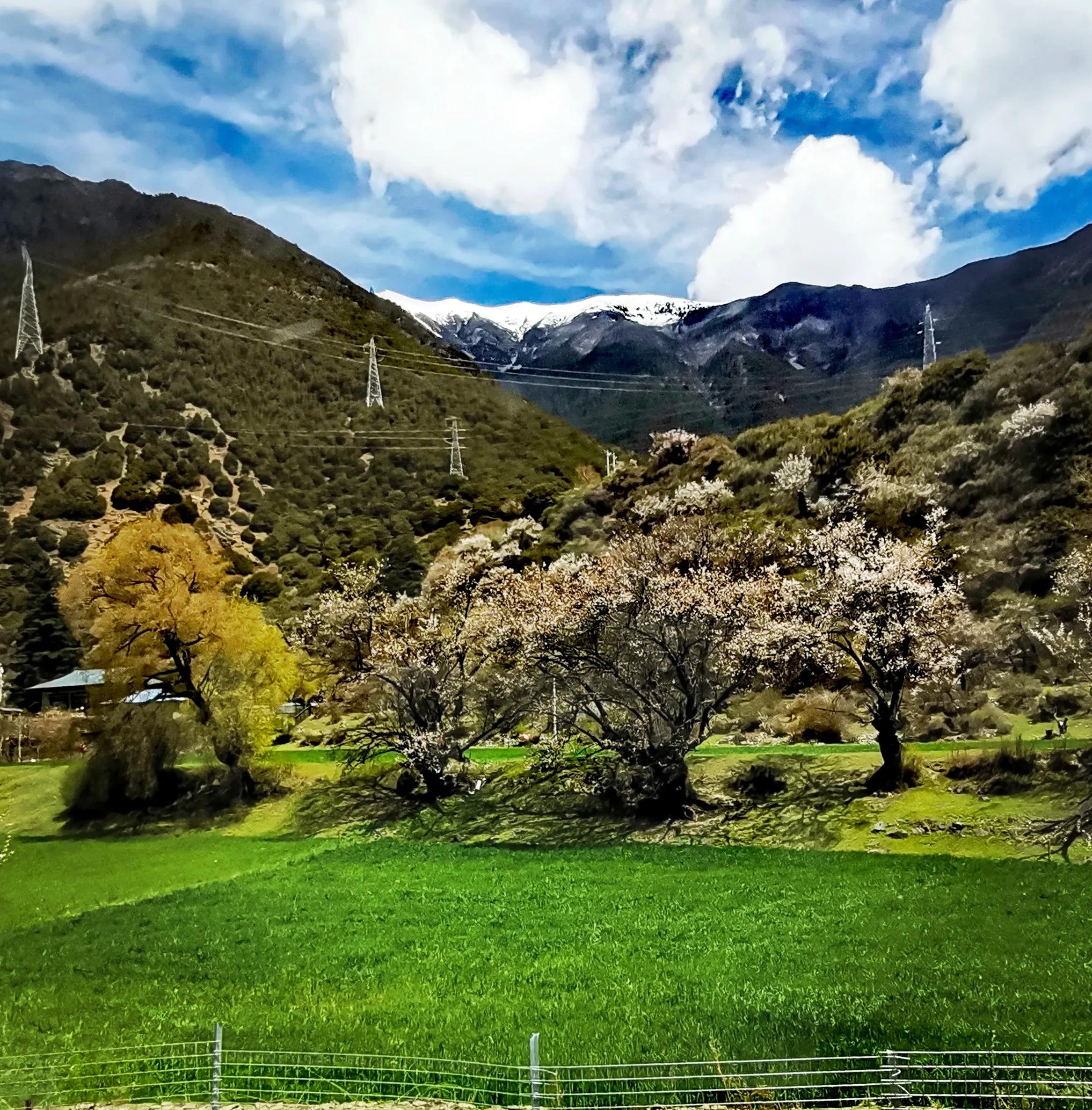 旅游那些事脱口秀,旅游那些事