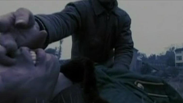 重庆山村被杀男孩,重庆一个村子离奇死亡事件