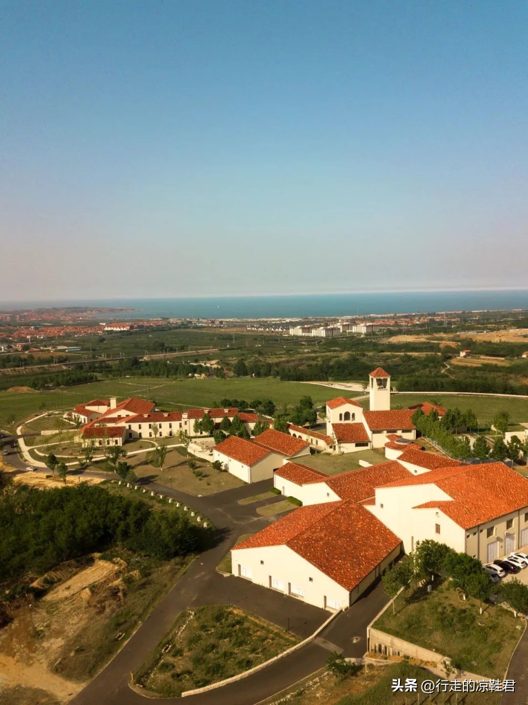 王功权：青普将是我最后一个创业项目