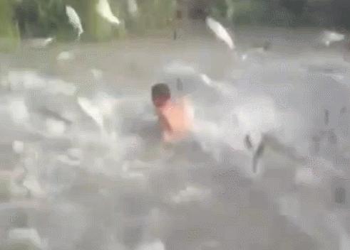 鱼跳出水面是地震前兆吗,鱼浮出水面是地震前兆吗