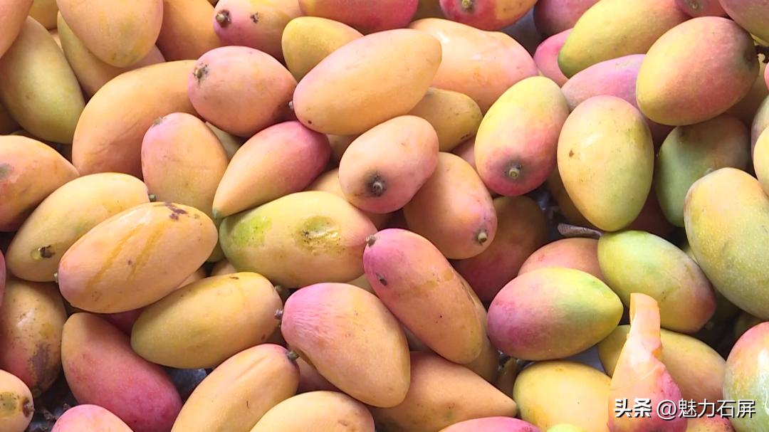 什么水果是你夏天的最爱,夏日果缤纷