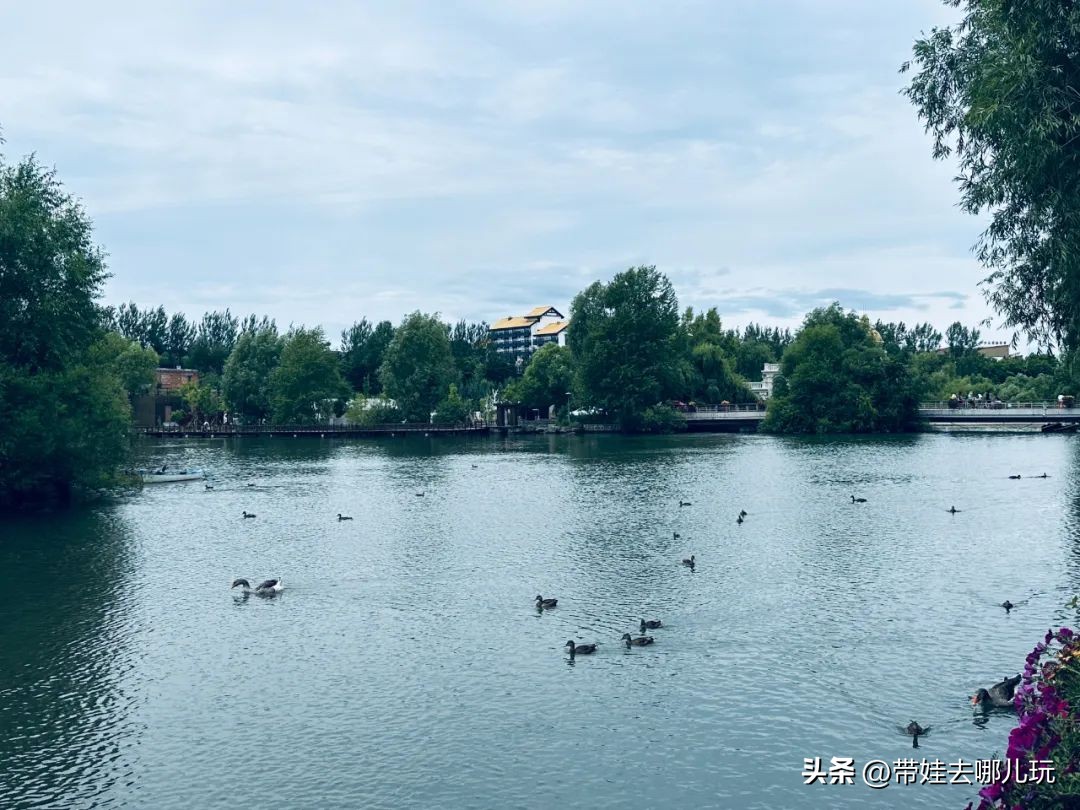 长白山二道白河旅游攻略7月游,自驾二道白河长白山旅游攻略