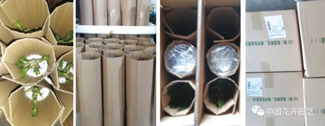 花卉电商推广如何做最有效,花卉销售渠道及方法