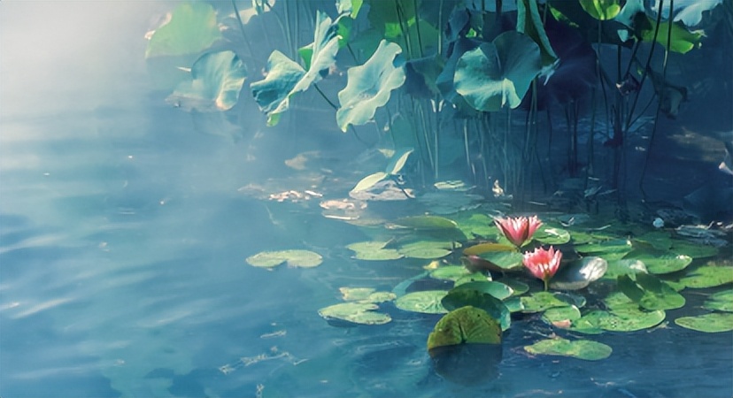 企业家和富豪的差距,企业家的舍与得