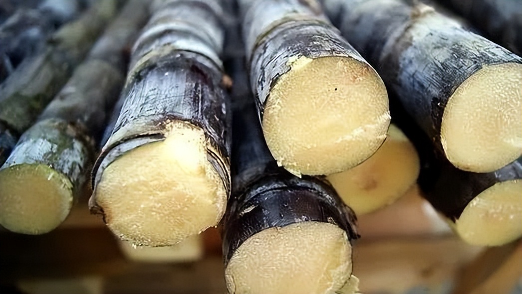 抚州农产品金奖,抚州的国家地理标志产品有哪些