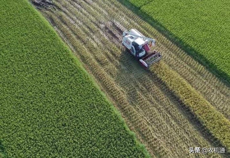 沃得农机现状,沃得农机新格局