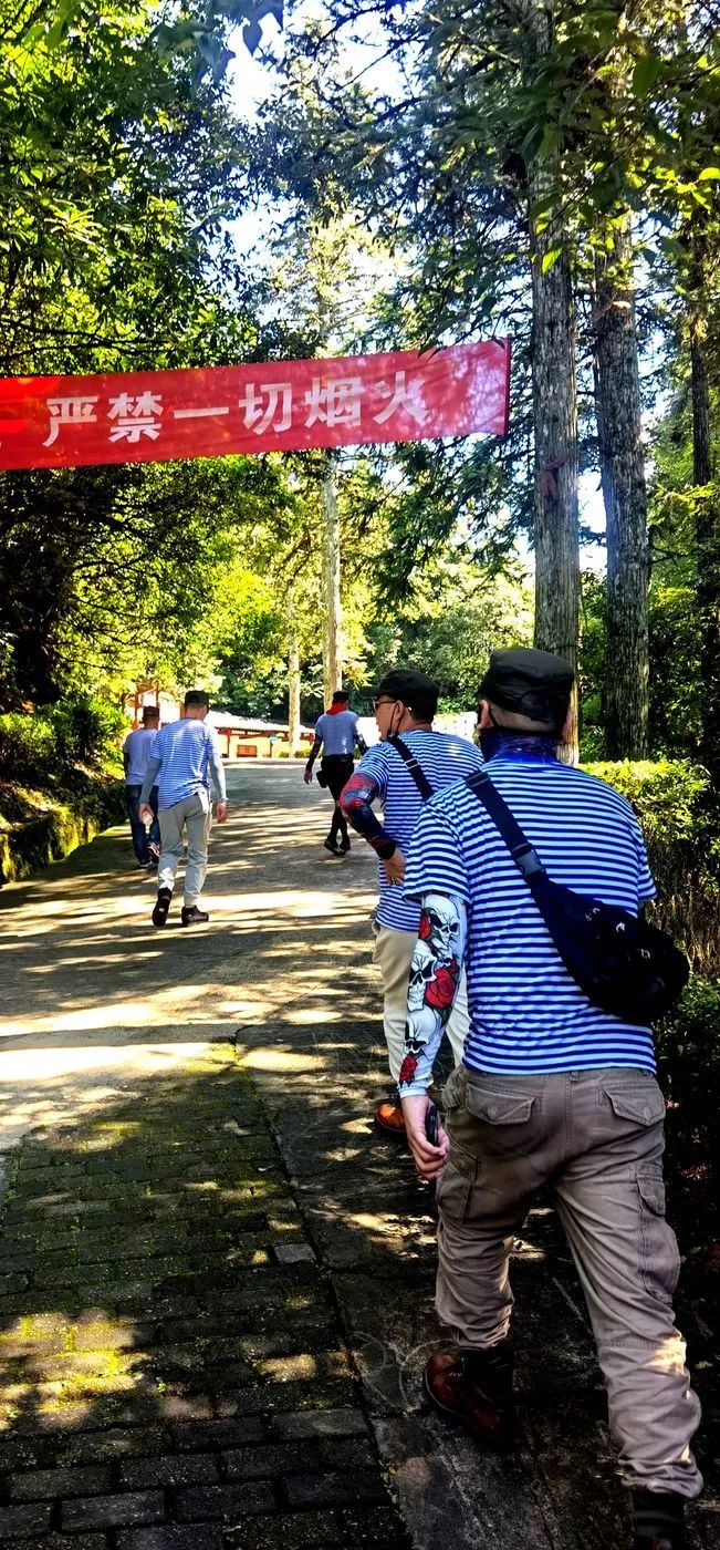 哈雷车主会福州分会,哈雷hog车主会八周年庆典巡游