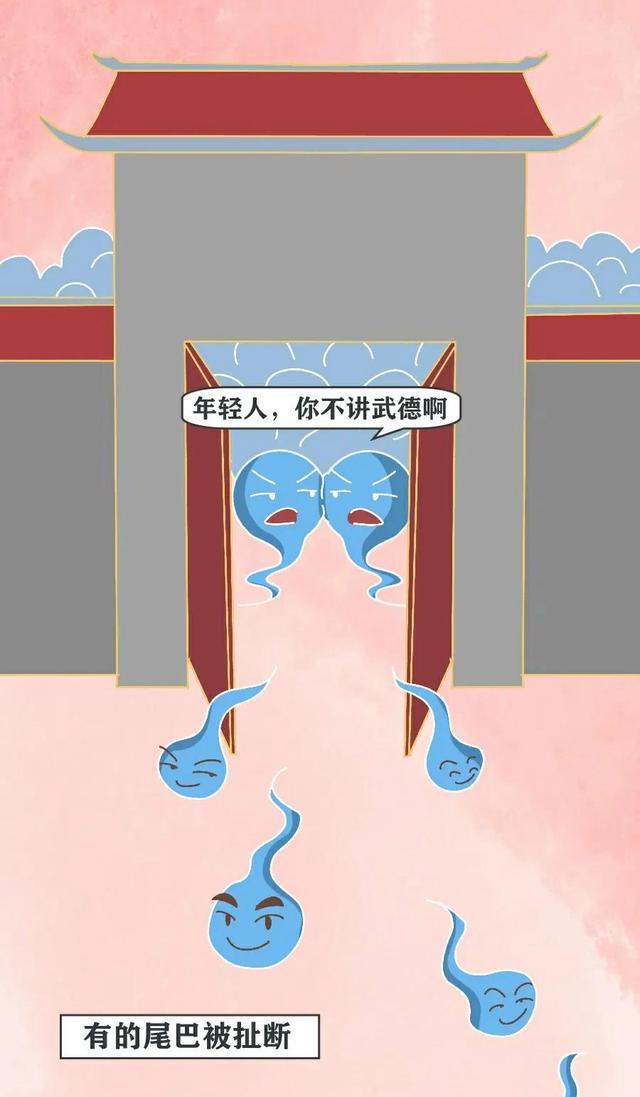 绮惧瓙杩涘叆浜轰綋24灏忔椂鍙樺寲,绮惧瓙杩涘叆浜轰綋1灏忔椂鍙樺寲