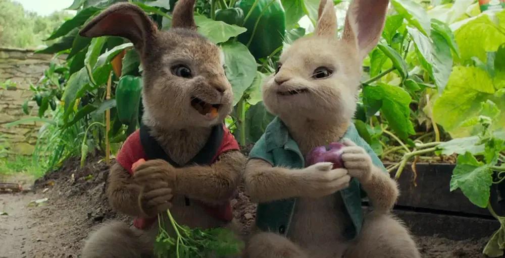 兔年卡通兔子图片图文,兔年兔子卡通形象