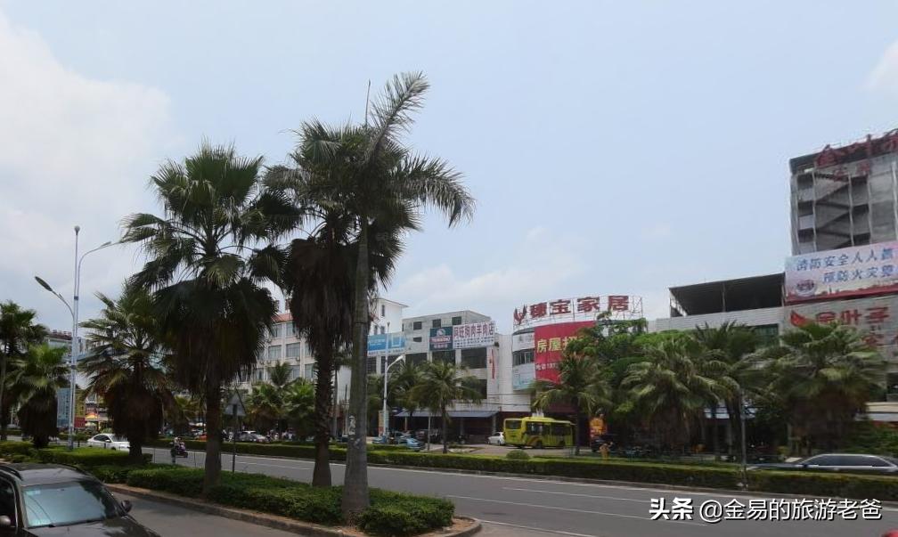 海南农业乐东是第一名吗,儋州农业发达吗