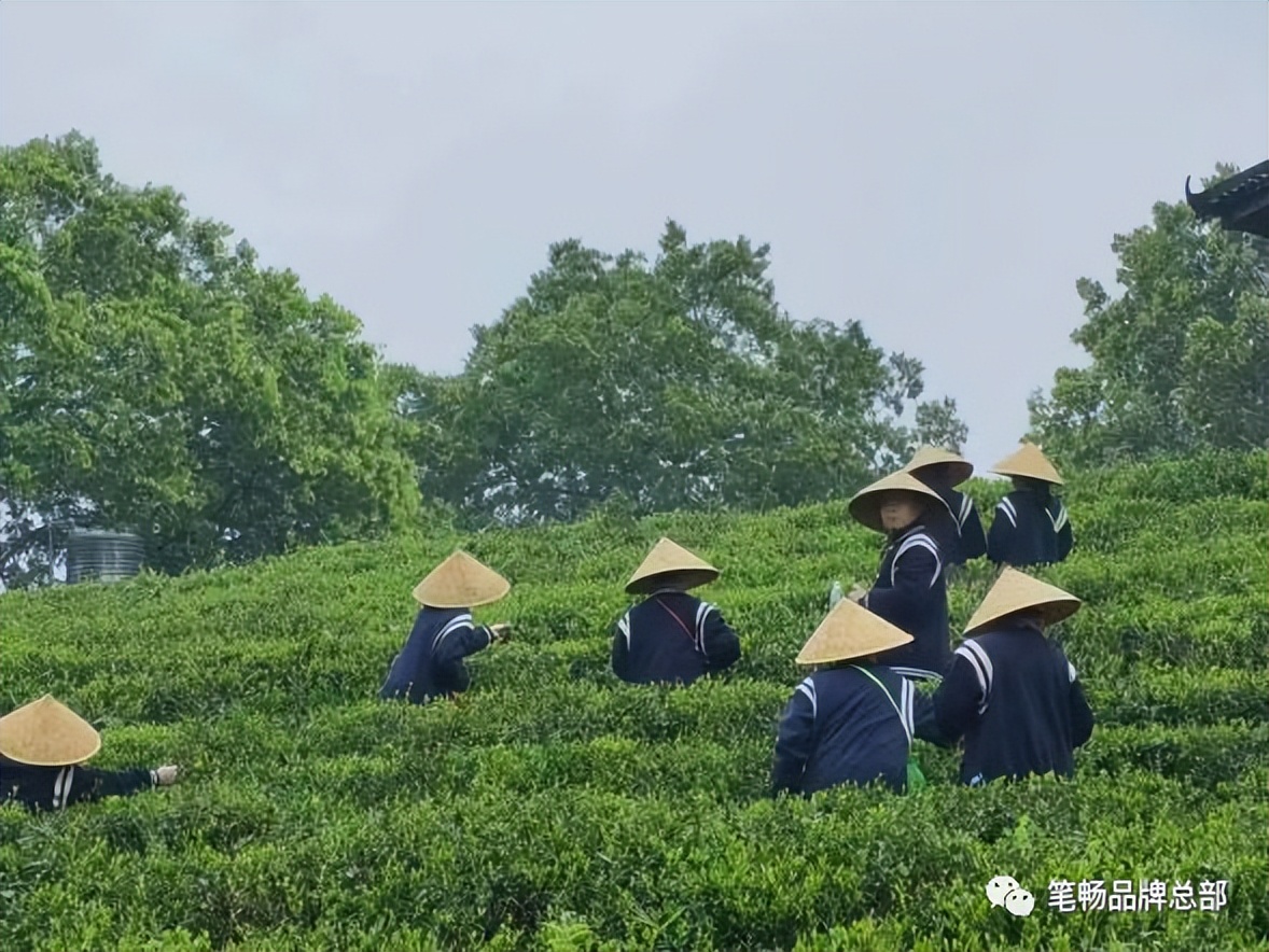 2023笔畅作文春季户外活动评选——广西桂林分校研学拔萃行