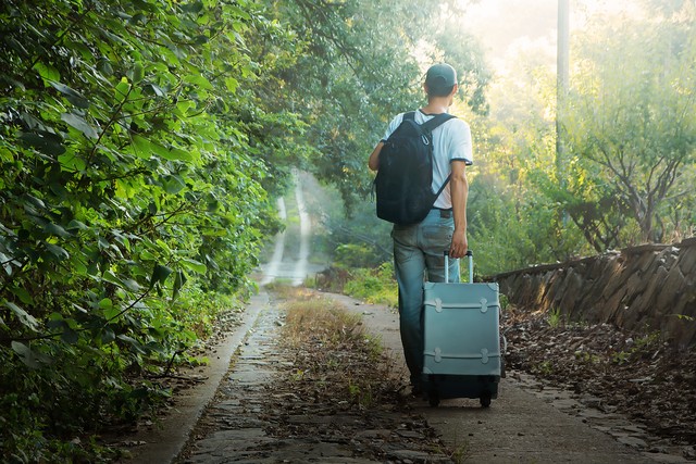 农村发展电商需要做什么工作,农村电商现在干什么好做