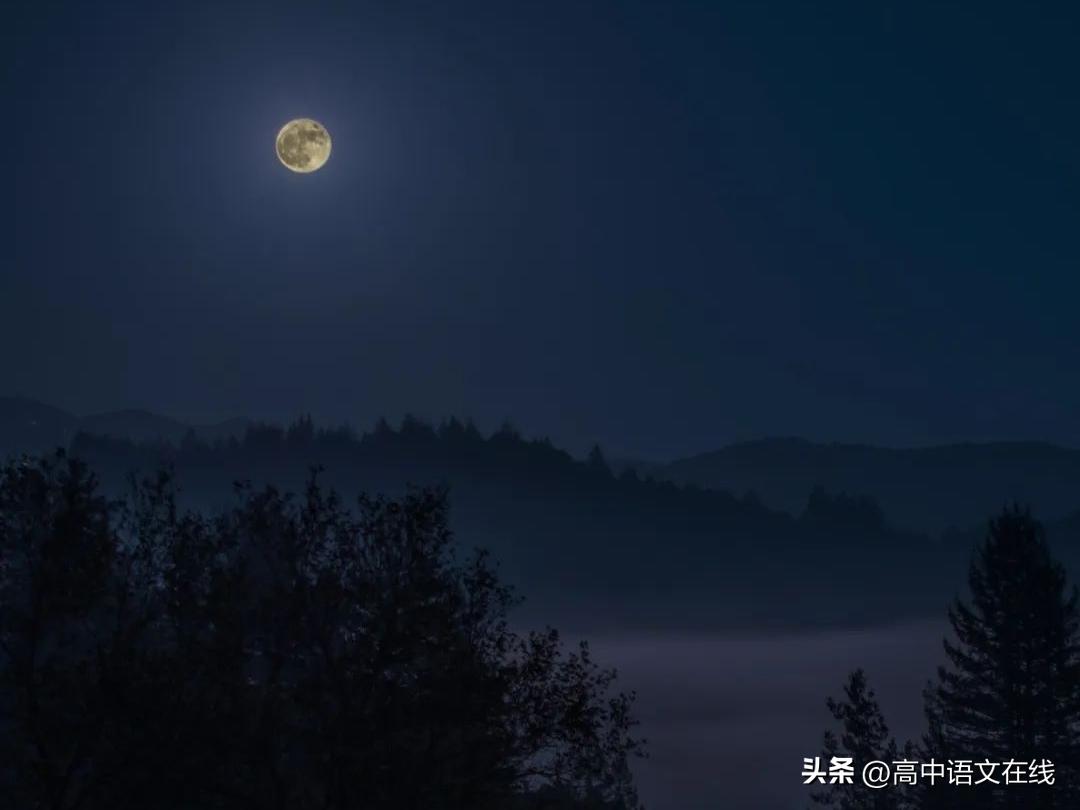 写秋月美景最好的古诗句,赞美秋月夜景的古诗词