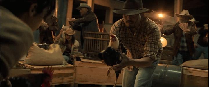 好莱坞惊艳的导演,好莱坞著名导演