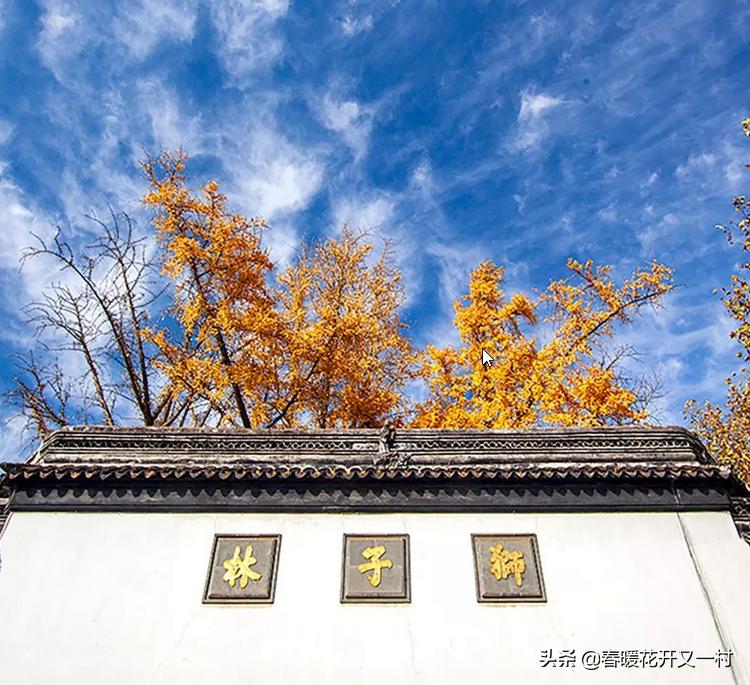 苏州园林春天哪月份去比较好,九月份的苏州园林