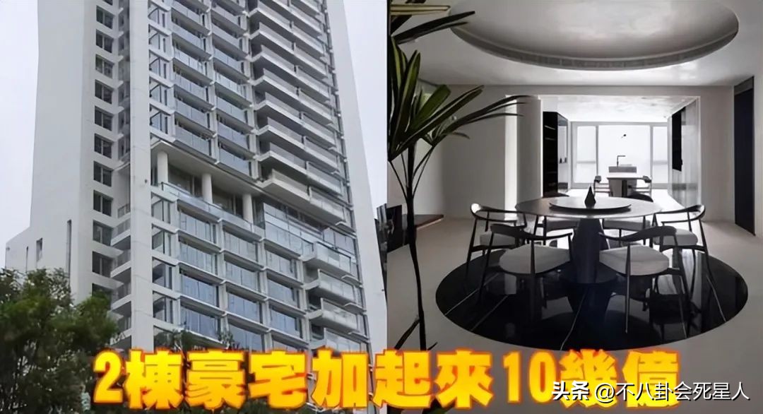 向太张柏芝直播,向太直播间说张柏芝