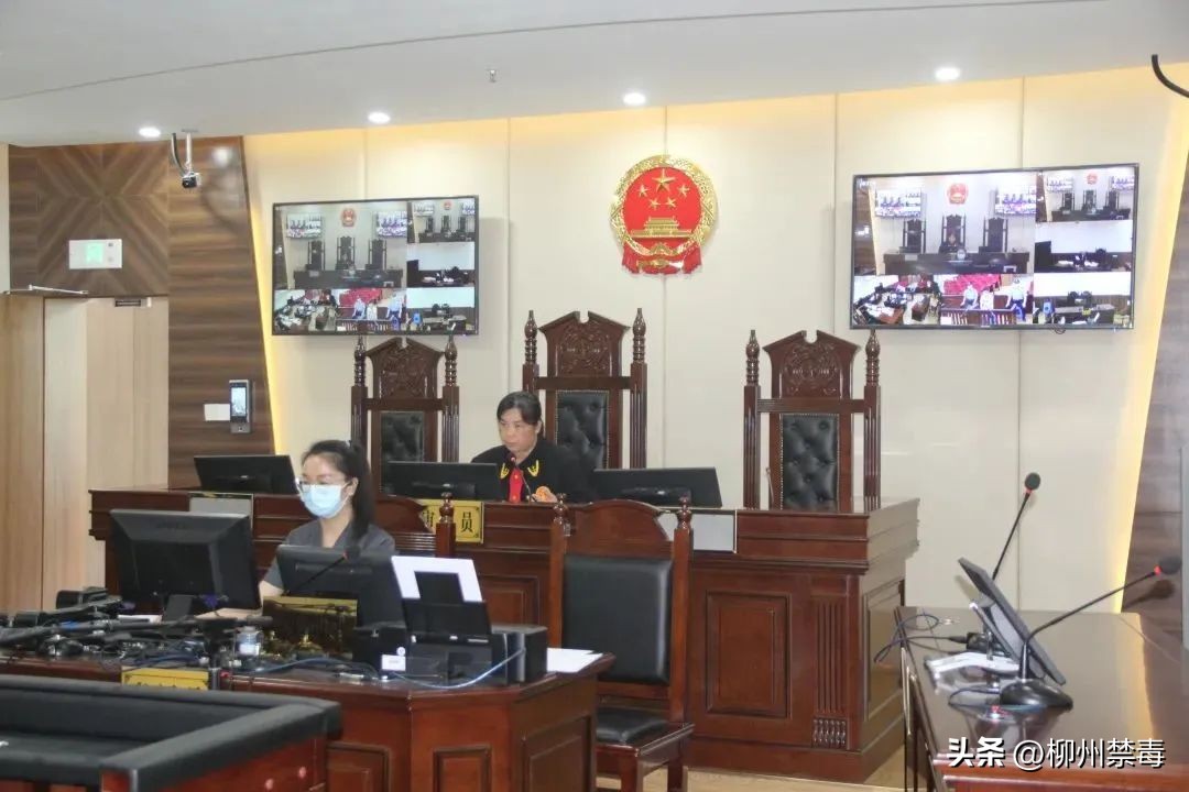 贩卖假毒的量刑标准,贩卖假毒罪判刑案例