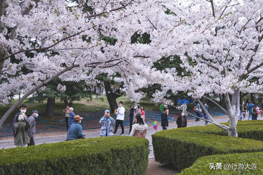 倒计时一天！十大系列休闲生活场景，品味韵味大连~