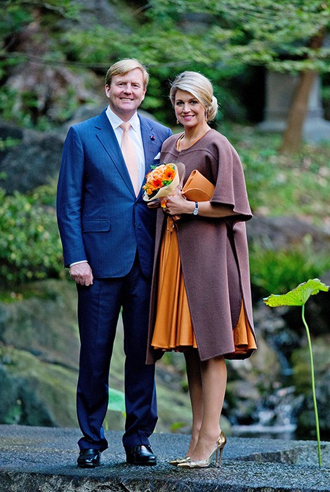 荷兰王后红毯裙,荷兰王后穿格子斗篷