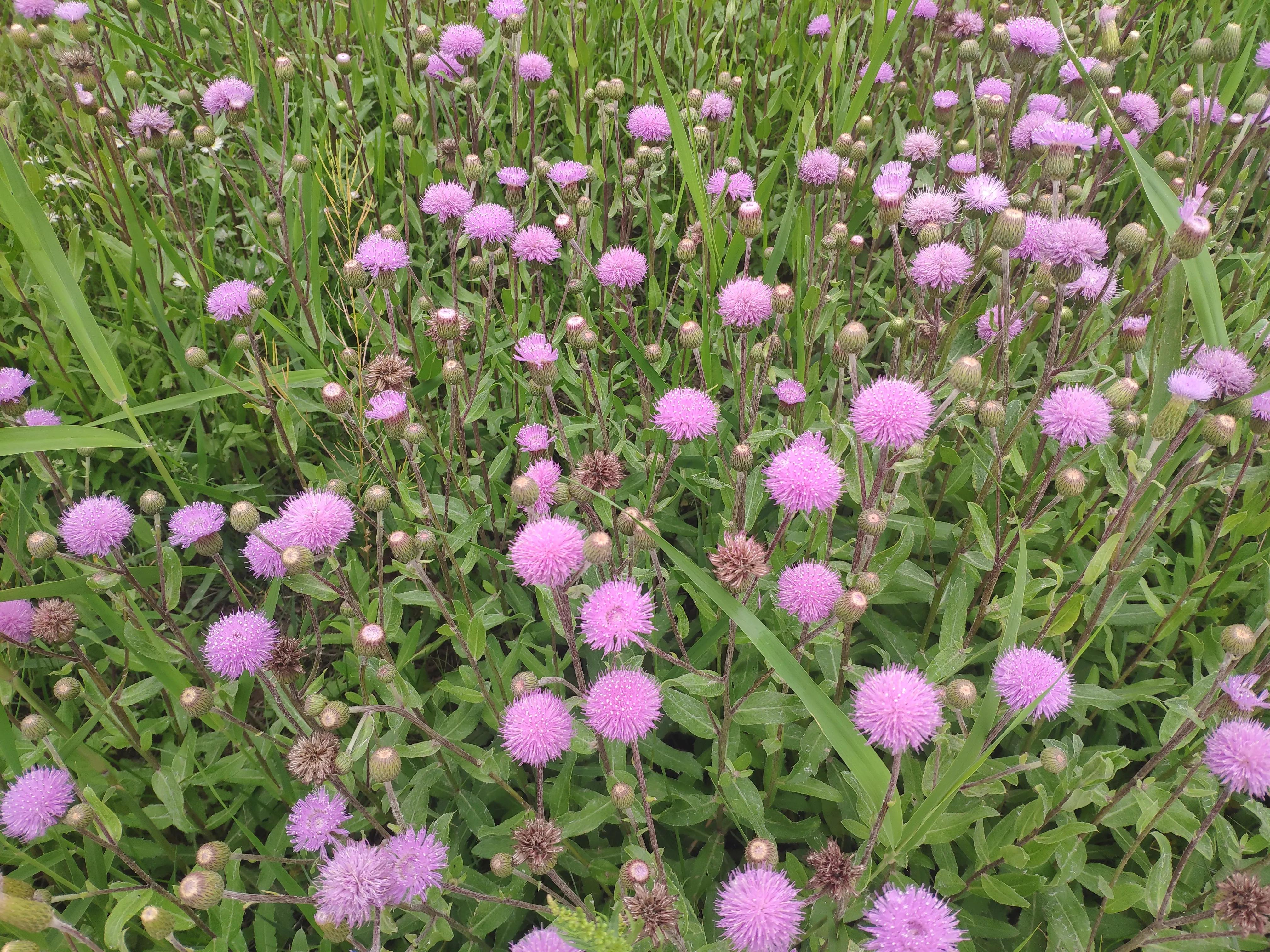 圣母丈夫掏4199块第一次送我生日礼物！我乐极生悲，疑似糖尿病！