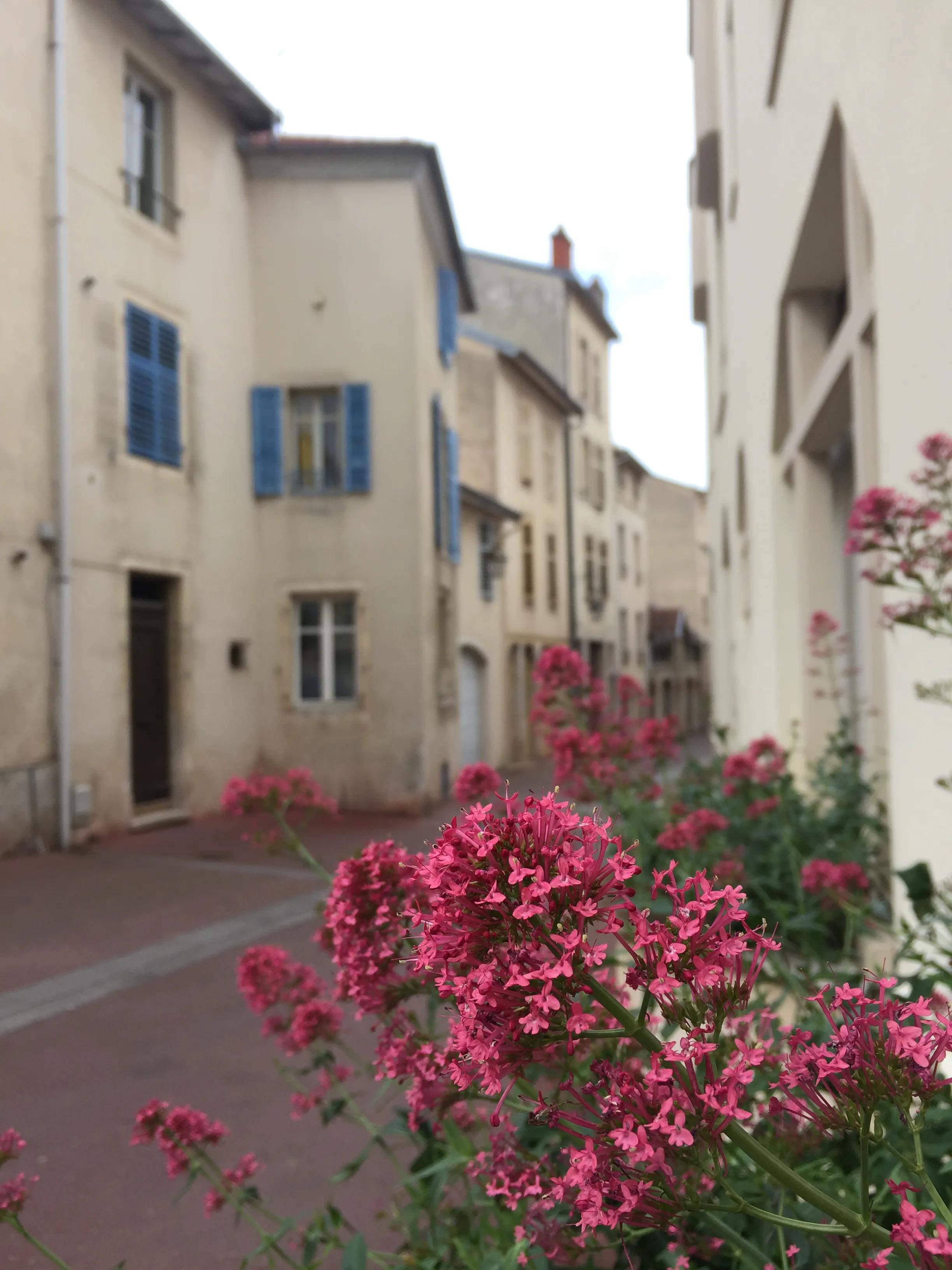 法国南锡旅游攻略,法国三城旅游攻略