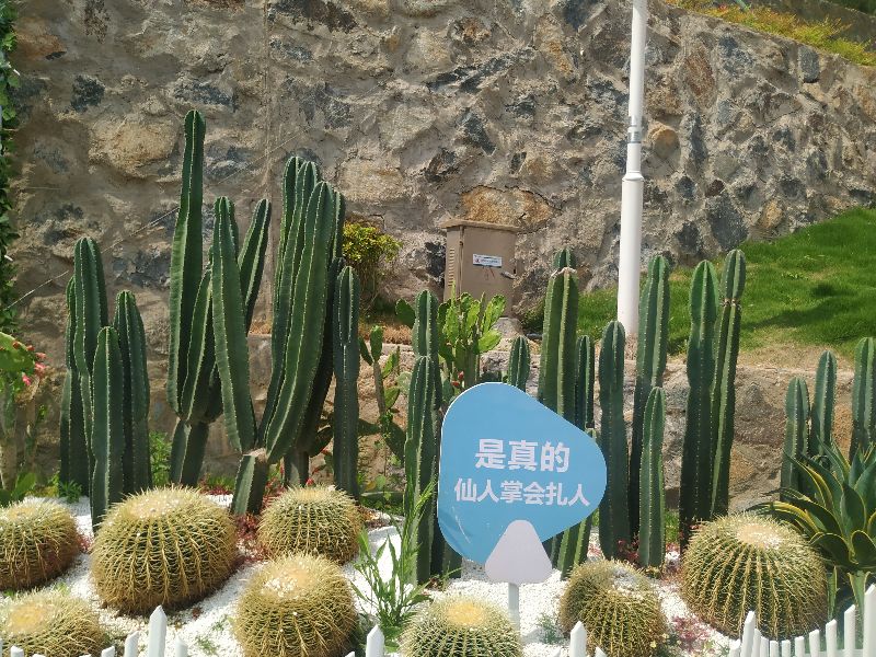 浙江境内蓝色大海,藏在这个与福建交界的小县城,不用坐船就能到