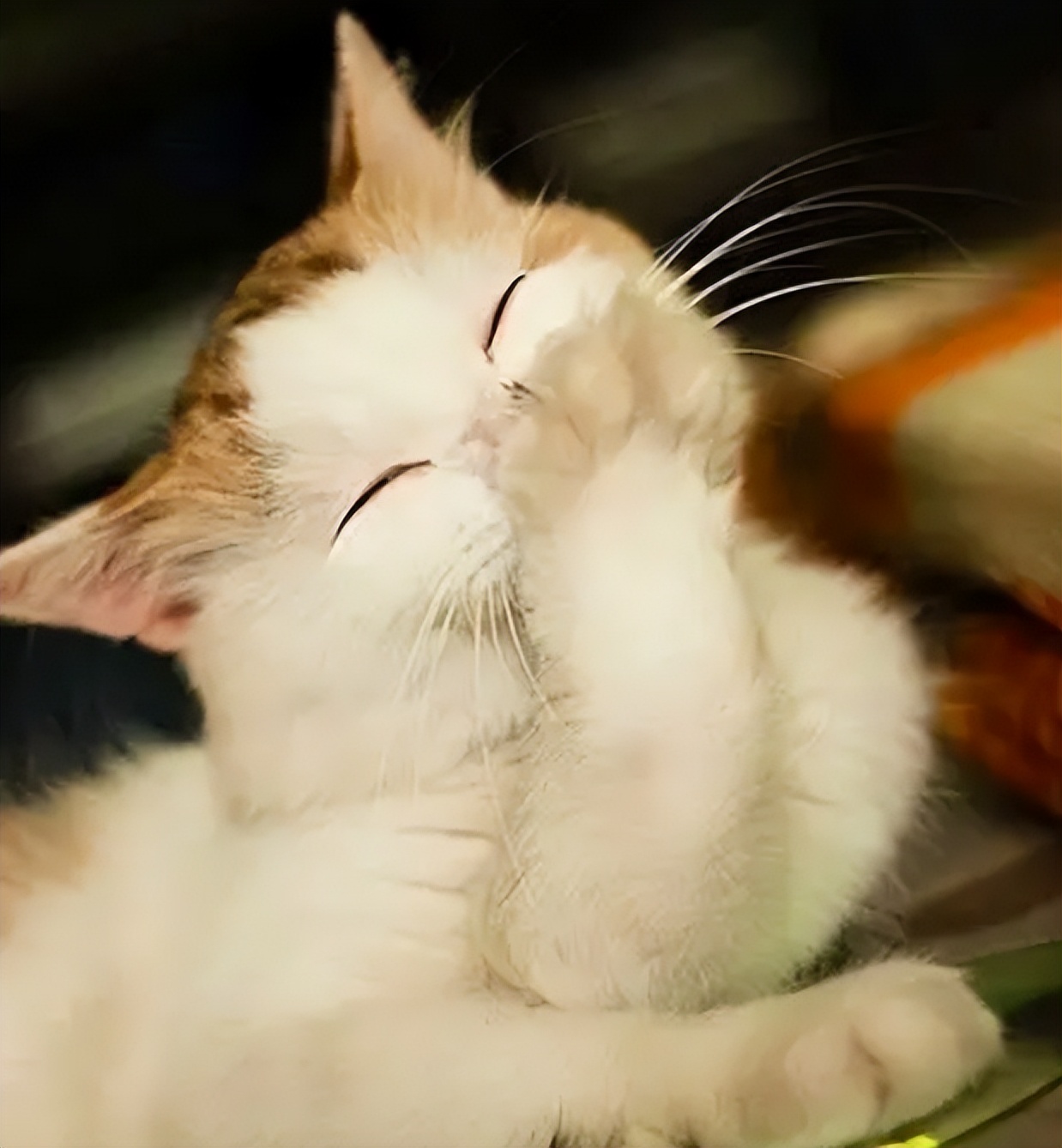 搞笑段子看完你还敢惹你女朋友吗,搞笑段子你的对象是这样的么