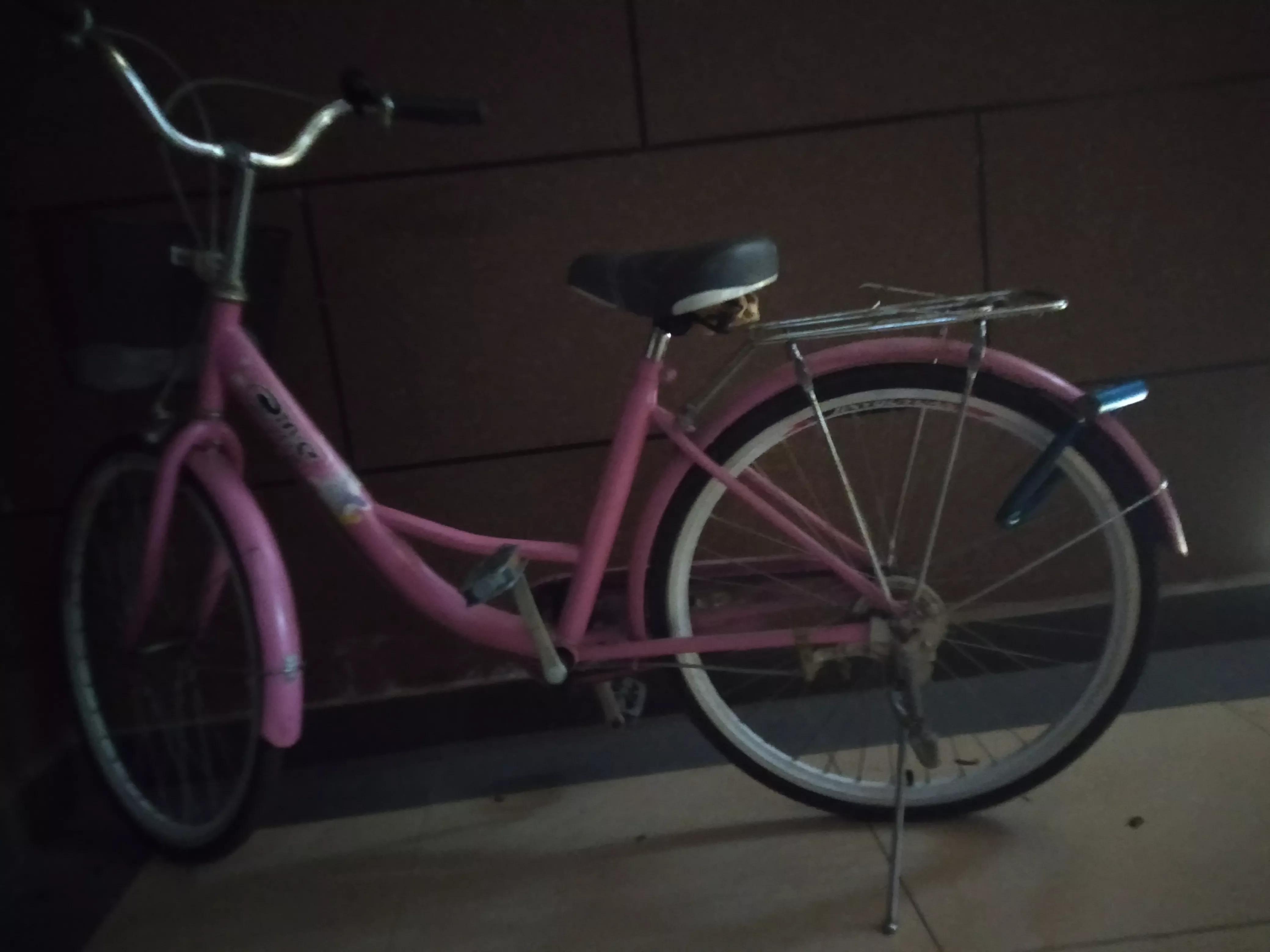 自行车丢了报警找回几率多大,丢了多年的自行车找到了