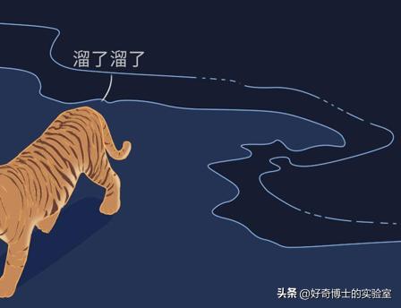 女生吃了春季药后的反应,吃了结核药身体的变化