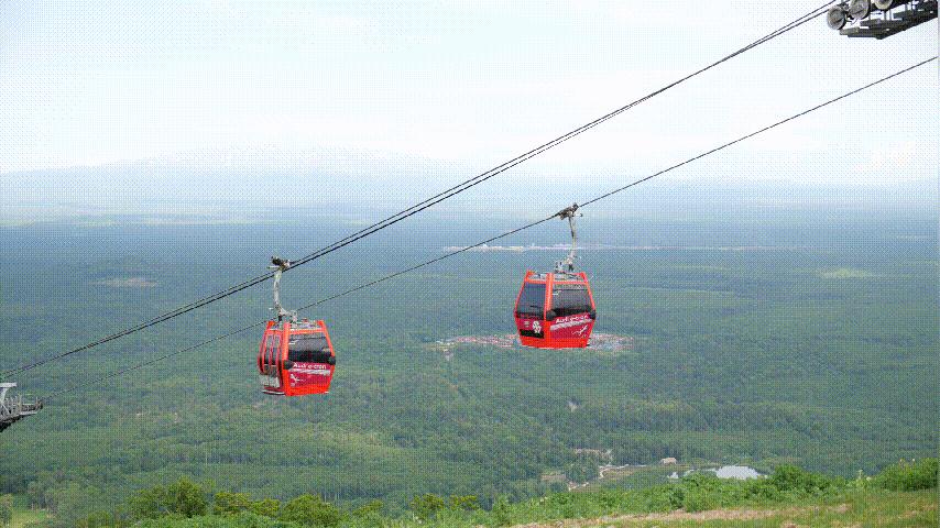 红橙黄绿正在上线,全家都能爱上这个“限定款”