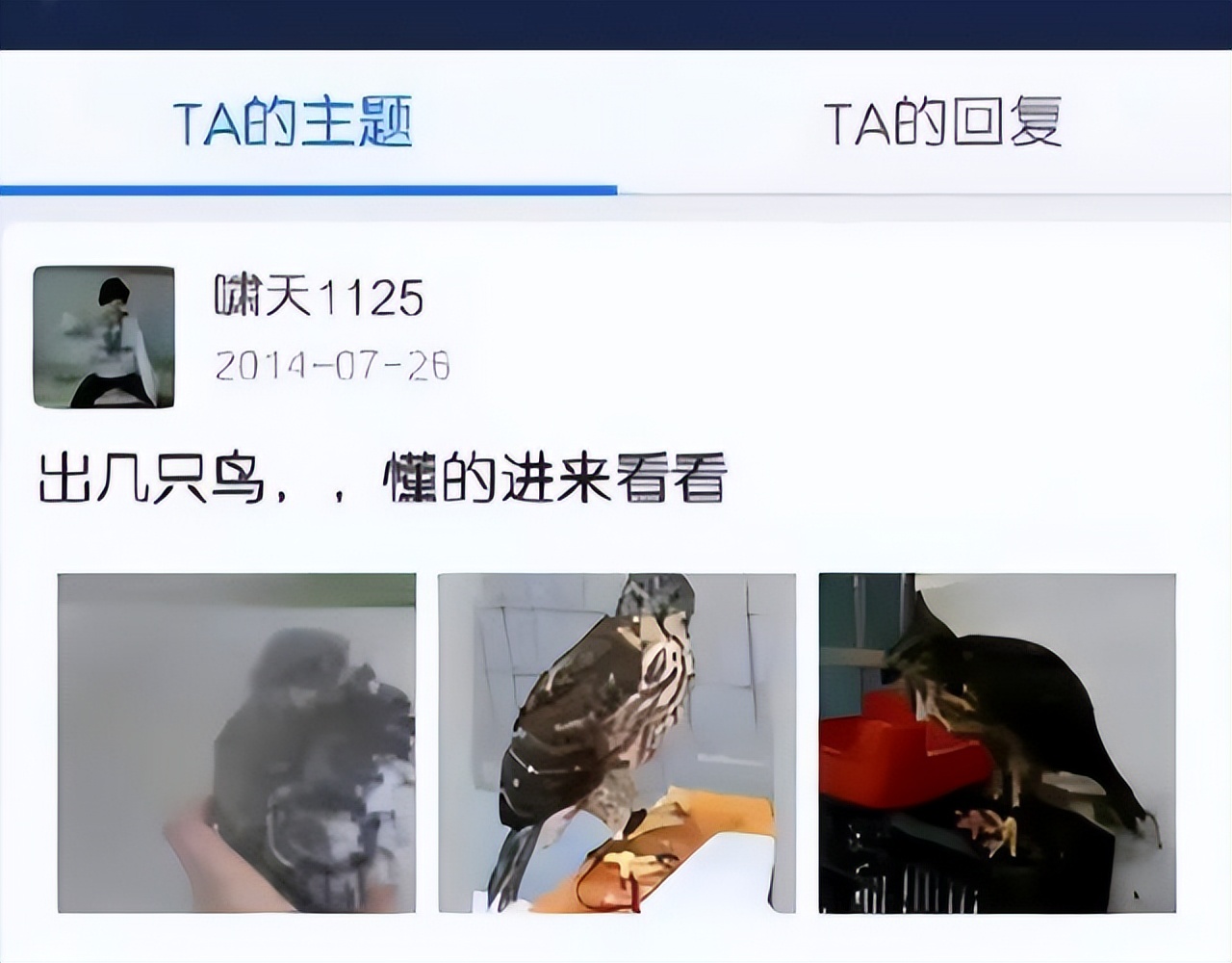 河南大学生掏鸟窝判十一年徒刑,河南少年掏鸟窝判十年后续