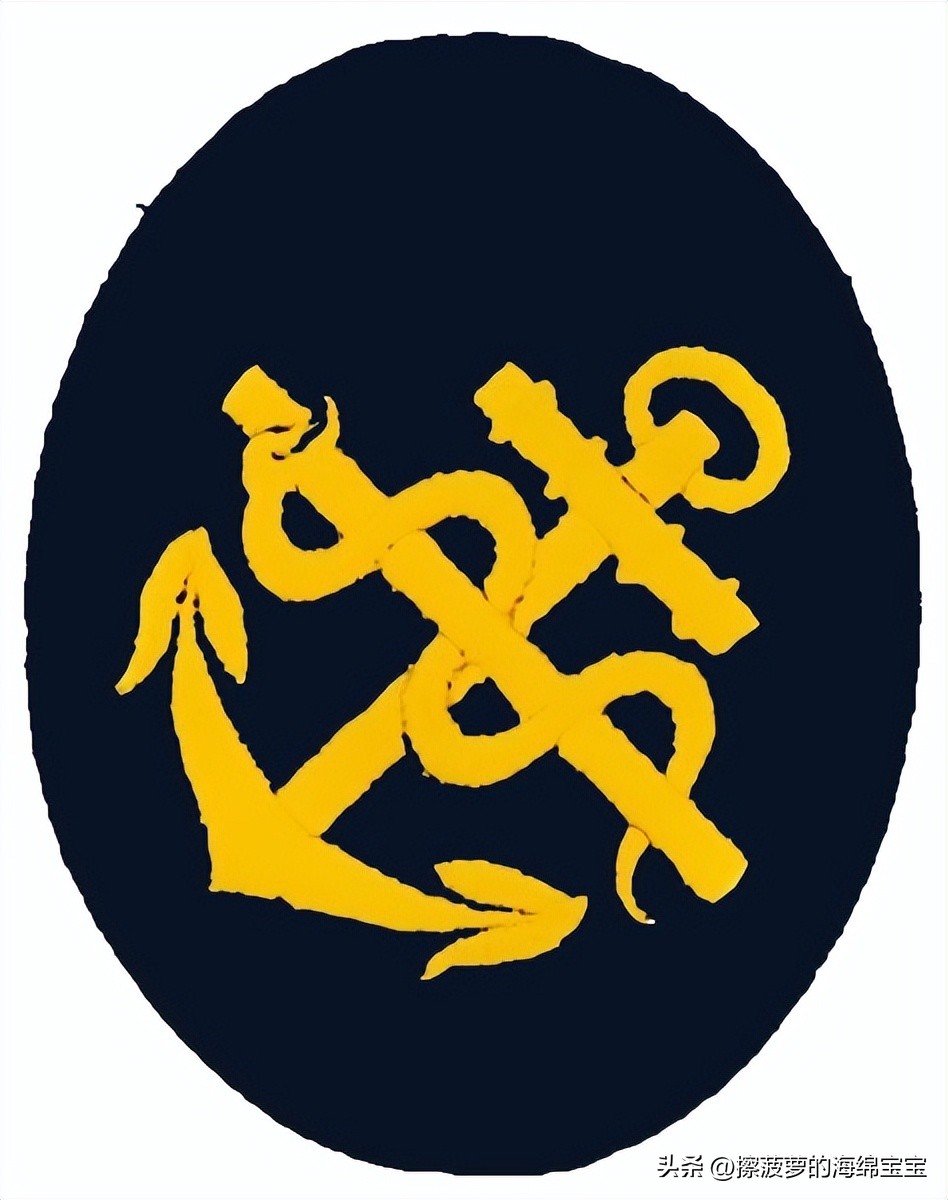 二战德国国防军医疗兵军衔标志