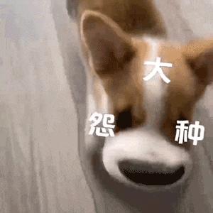 双11爆单文案低调,双11热门文案