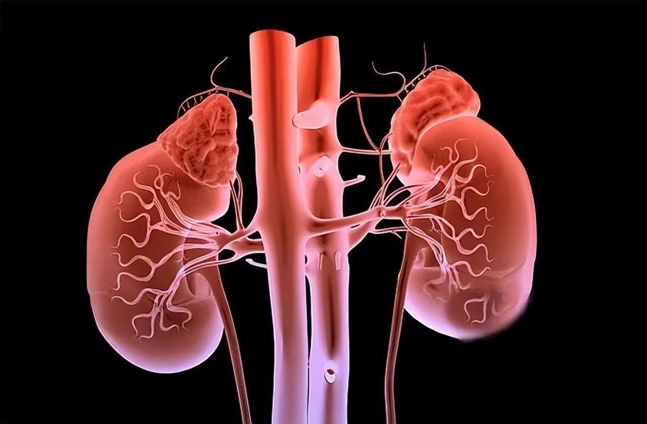 补肾补精吃生蚝和韭菜,生蚝补肾固肾的小方法